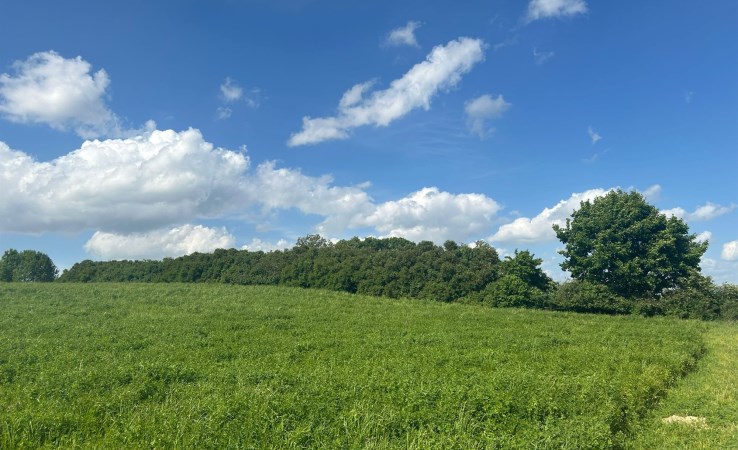 działka na sprzedaż - Sicienko, Dąbrówka Nowa, Zamkowa