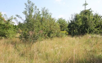 -Działka Białe Błota Lisi Ogon