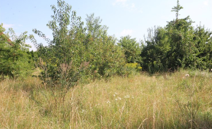 działka na sprzedaż - Białe Błota, Lisi Ogon