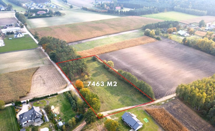 działka na sprzedaż - Rozgarty, Zarośle Cienkie